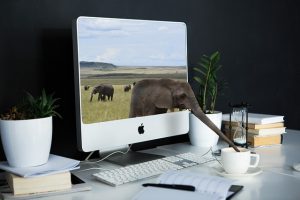 computer with elephant