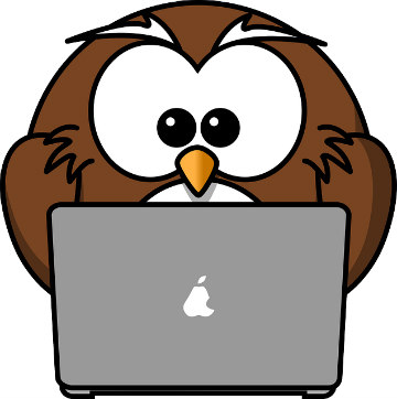 how is internet marketing done wise owl