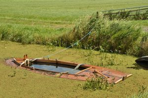 boat sunk in water