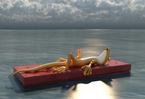 geko floating on a raft