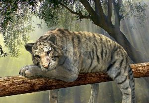 image of parakeet with tiger head