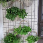 vertical balcony herb garden