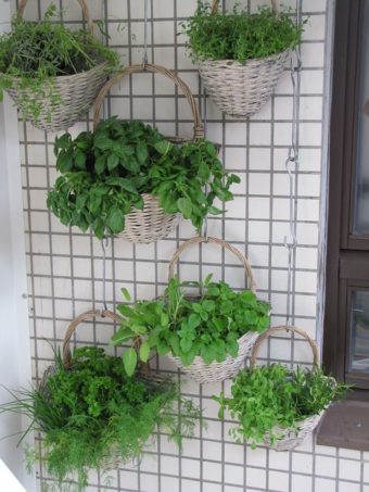 vertical balcony herb garden